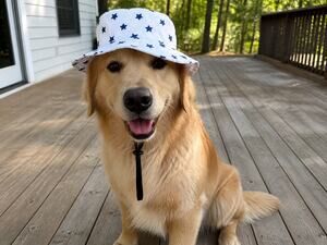 Top Paw Dog Bucket Sun Hat, Patriotic Stars, Adjustable Strap, Americana, Sz M/L